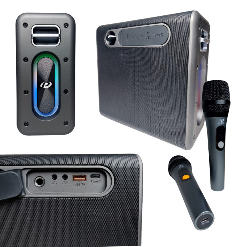 Φορητό ηχείο Bluetooth με 2 μικρόφωνα Karaoke - PR-1016 - 241373 - Image 2